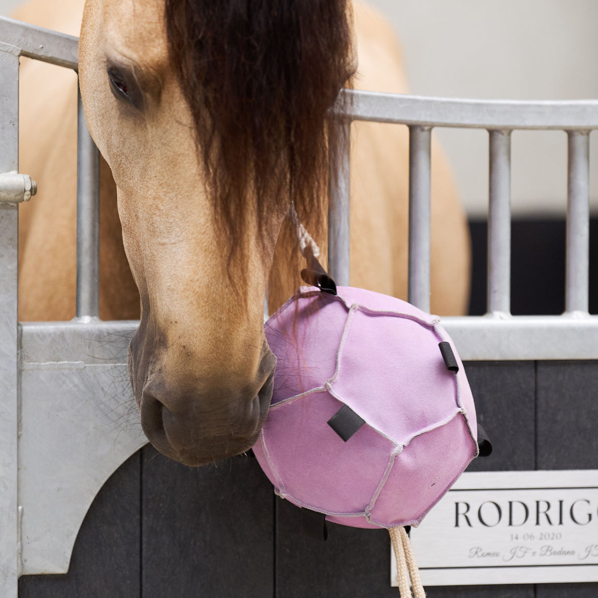Imperial Riding Volley Up Horse Ball #colour_ballerina