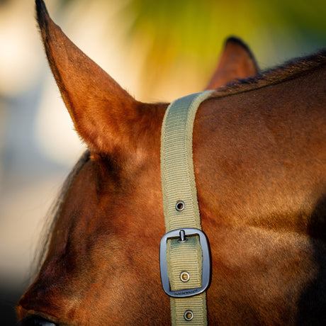 Horseware Ireland Amigo Headcollar & Leadrope Set #colour_bramble