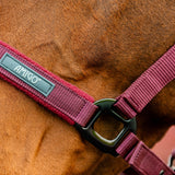 Horseware Ireland Amigo Headcollar & Leadrope Set #colour_mulberry