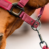 Horseware Ireland Amigo Headcollar & Leadrope Set #colour_mulberry