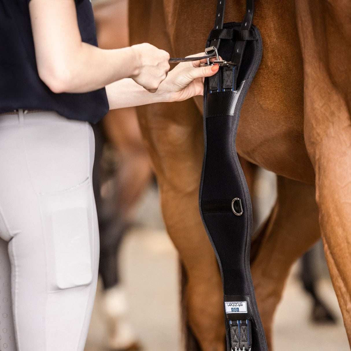Stubben Neopren-Sattelgurt Coolmax kurz mit elastischen Enden