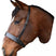 Mackey Classic Wide Flat Cavesson Noseband #colour_black