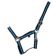 #colour_navy-light-blue
