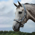 Weatherbeeta Coordinate Headcollar #colour_blue-apricot-green