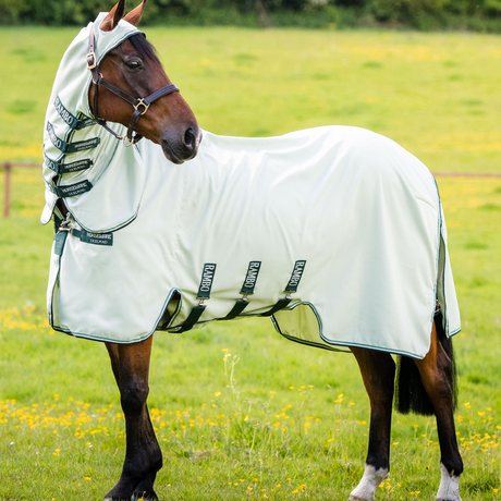 Horseware Ireland Rambo Hoody #colour_green-sage-beige