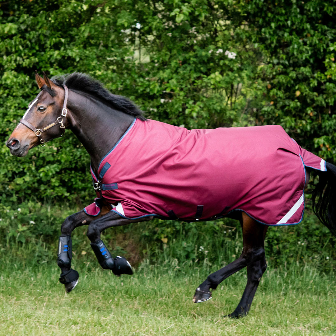 #colour_burgundy-teal-navy