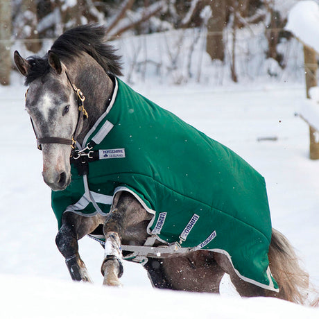 Horseware Ireland Rambo Original 400g Turnout Rug with Leg Arches #colour_green-silver