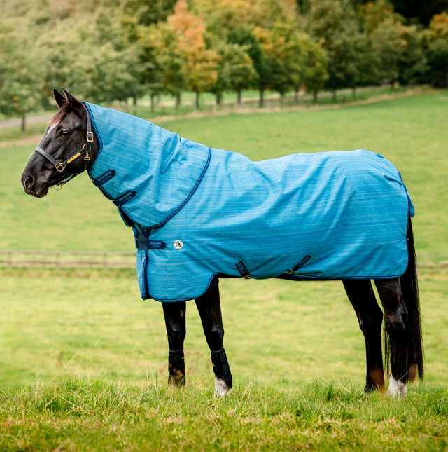 Horseware Ireland Amigo Hero 900 Revive Plus 50g #colour_ocean-blue-navy-electric-blue