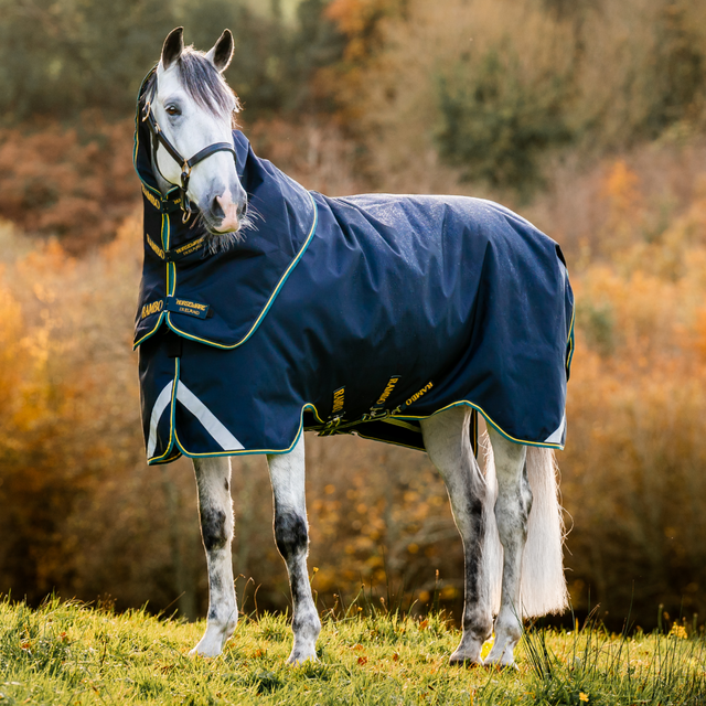 Horseware Ireland Rambo Duo Force 2.0 #colour_navy-teal-yellow-navy