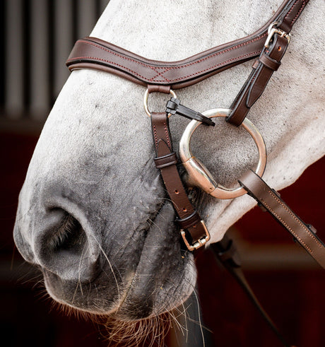 Horseware Ireland Micklem 2 Competition Bridle #colour_dark-havana