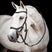 Horseware Ireland Micklem 2 Competition Bridle With Reins #colour_black