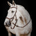 Horseware Ireland Micklem 2 Deluxe Competition Bridle With Reins #colour_dark-havana