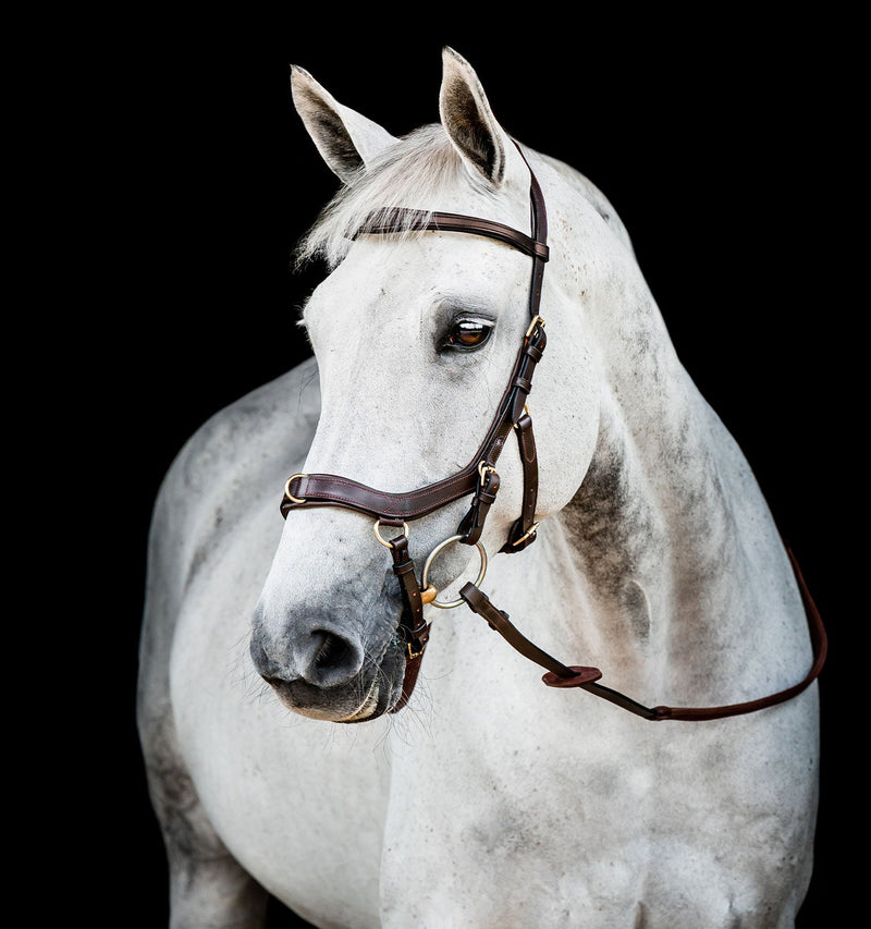 Horseware Ireland Micklem 2 Multi Bridle #colour_dark-havana
