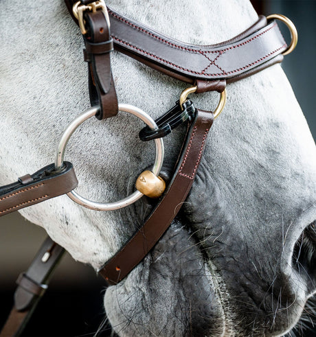 Horseware Ireland Micklem 2 Multi Bridle #colour_dark-havana