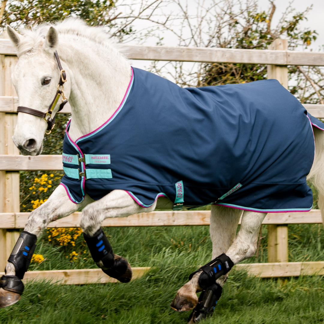 Horseware Ireland Amigo Hero 900 Pony Turnout Medium 200g #colour_dark-blue-capri-raspberry