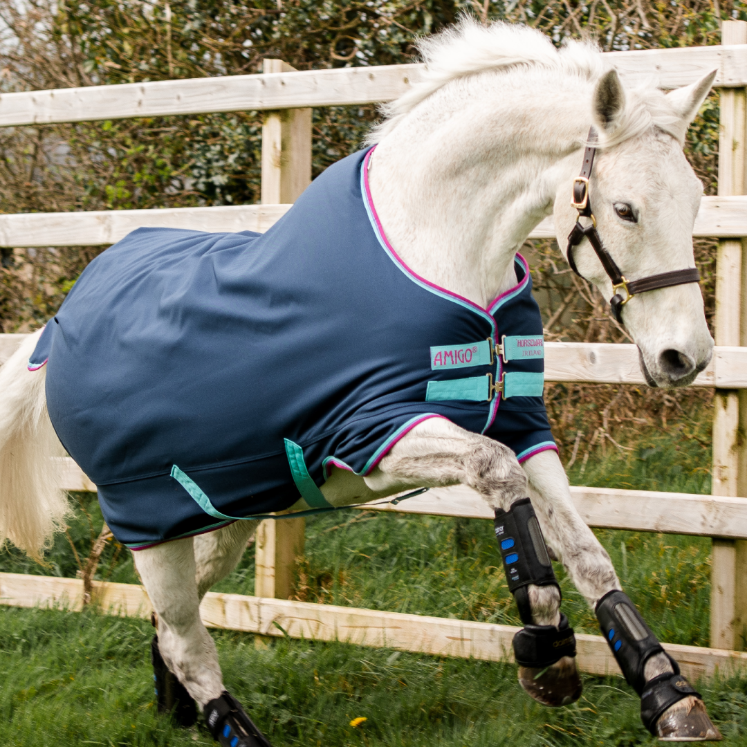 Horseware Ireland Amigo Hero 900 Pony Turnout Medium 200g #colour_dark-blue-capri-raspberry