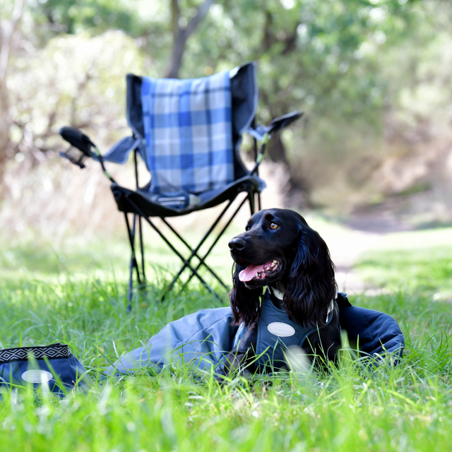 Weatherbeeta Explorer Dog Sleeping Bag #colour_navy