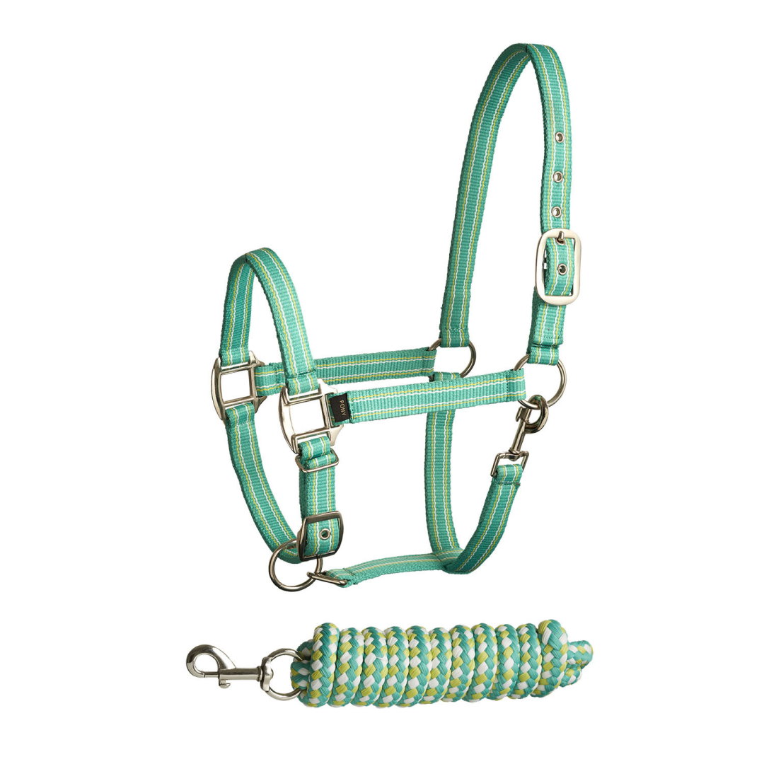 Bitz Stripe Two Tone Headcollar/Lead Rope #colour_aqua-lime