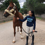 Sweat d'été Horse Pilot Femme 