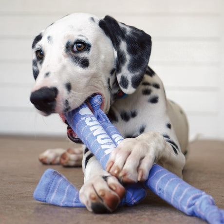 KONG Puppy Signature Crunch Rope Double