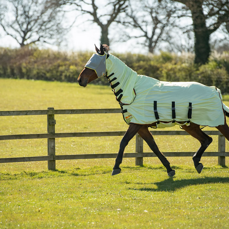 Equilibrium Field Relief Fly Rug #colour_yellow-black-orange