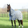 Weatherbeeta Comfitec Airflow II Detach A Neck #colour_grey-blue-grey