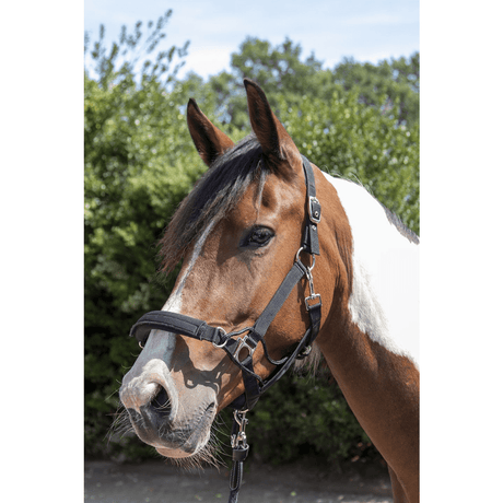 HKM Safe Control Style Head Collar #colour_black